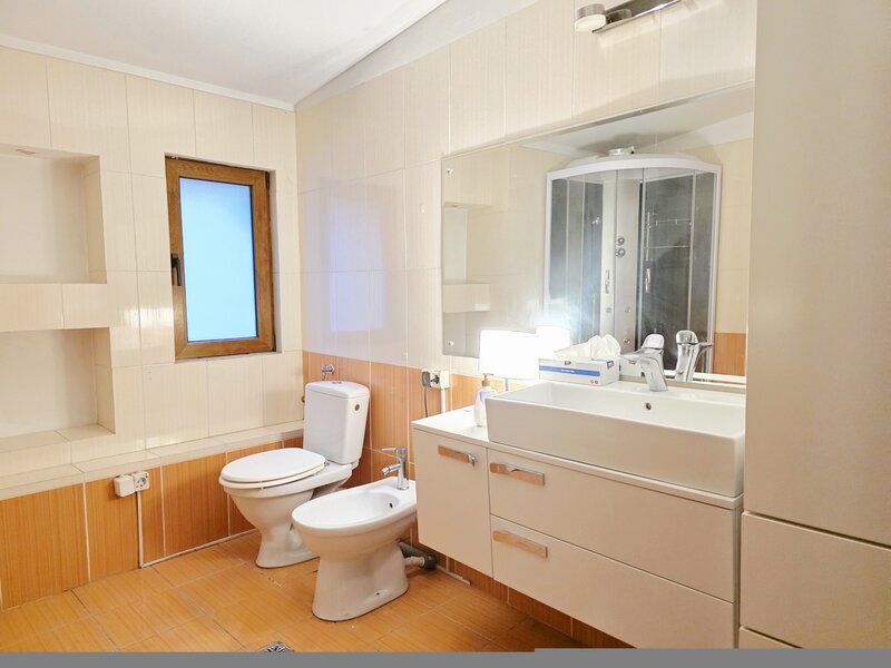 Vitan Mall, Dristor, Calea Dudesti stradal, pretabil firma